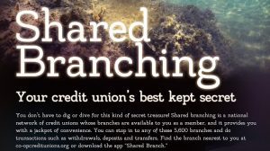 Shared branch flyer